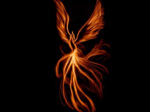 1264956155_fadbb69562cecb07d31b706f