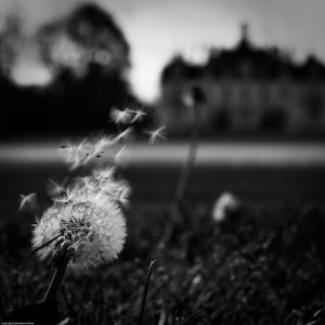 4550980984_f5374a8bde_z