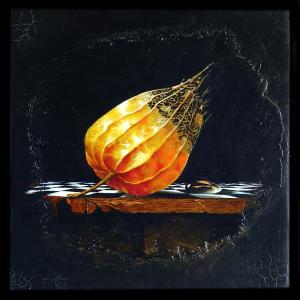 4722439_la_cage_ouverte