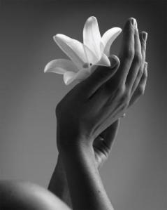 Cedric-Porchez-Caresse-54059