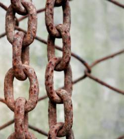 des-cha-nes-rouillees-illustration_18704_w250