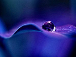 Goutte-d-eau-principale-28-03-2009