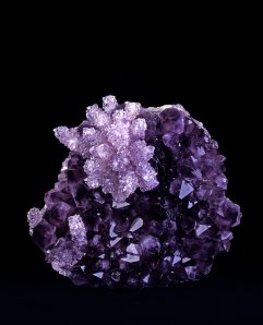 412341_10150863232650811_786373128_o