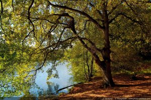 cc by-nc-nd Bruno Monginoux www.photo-paysage.com & www.landscape-photo.net