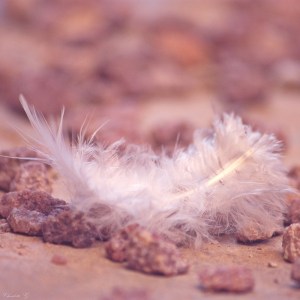 douceur-et-legerete-ee9f0160-b8d7-474c-adea-0cc5503cecf2