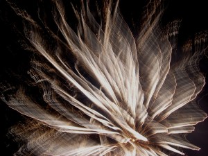 le-fruit-du-hasard-ed38207b-9c0c-41dd-b404-7873a6aba618