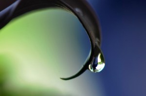 le-reflet-du-vase-31cb2097-a9fb-4c4a-b020-ec398f0cc146