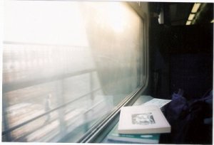 3009719075_1_3_0JQJe3tz