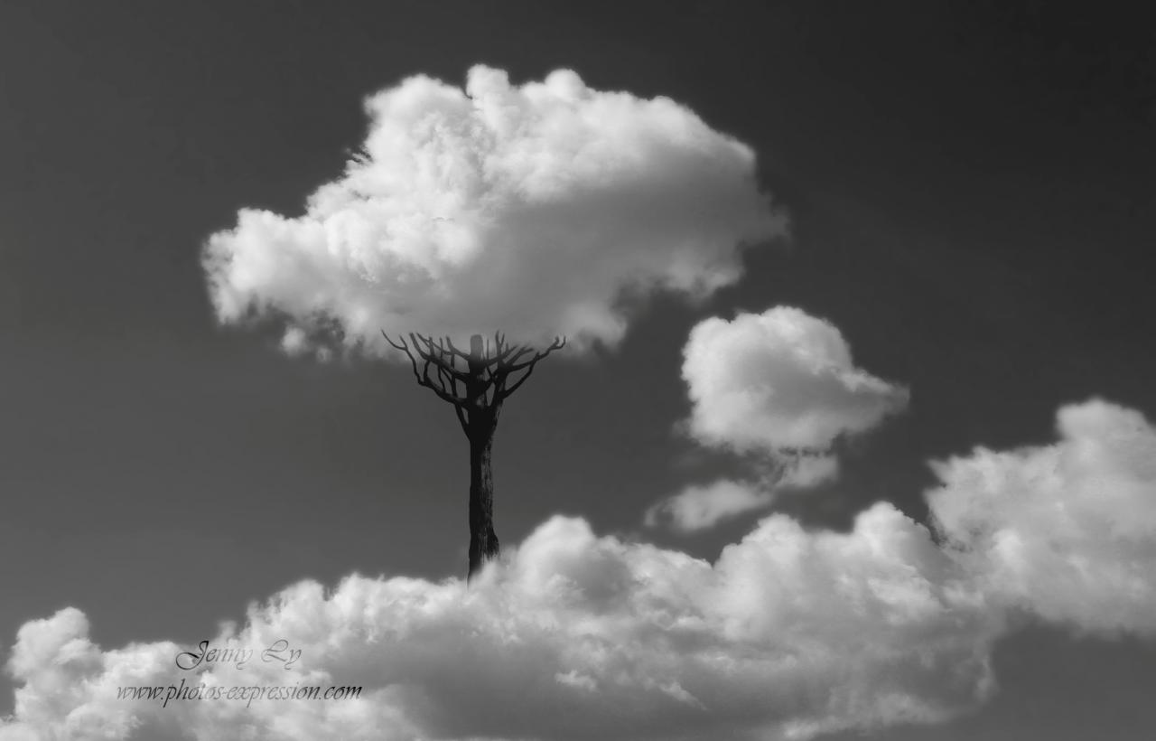 paradis-sous-un-nuage