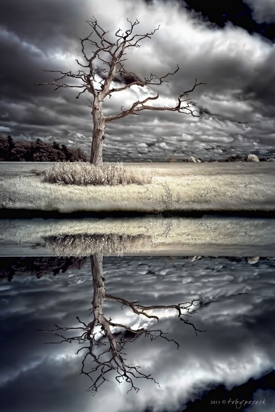 42270c83784043c02e98bc493a3965c2