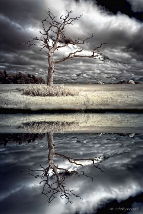 42270c83784043c02e98bc493a3965c2